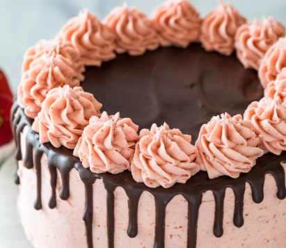 cake decorating for beginners