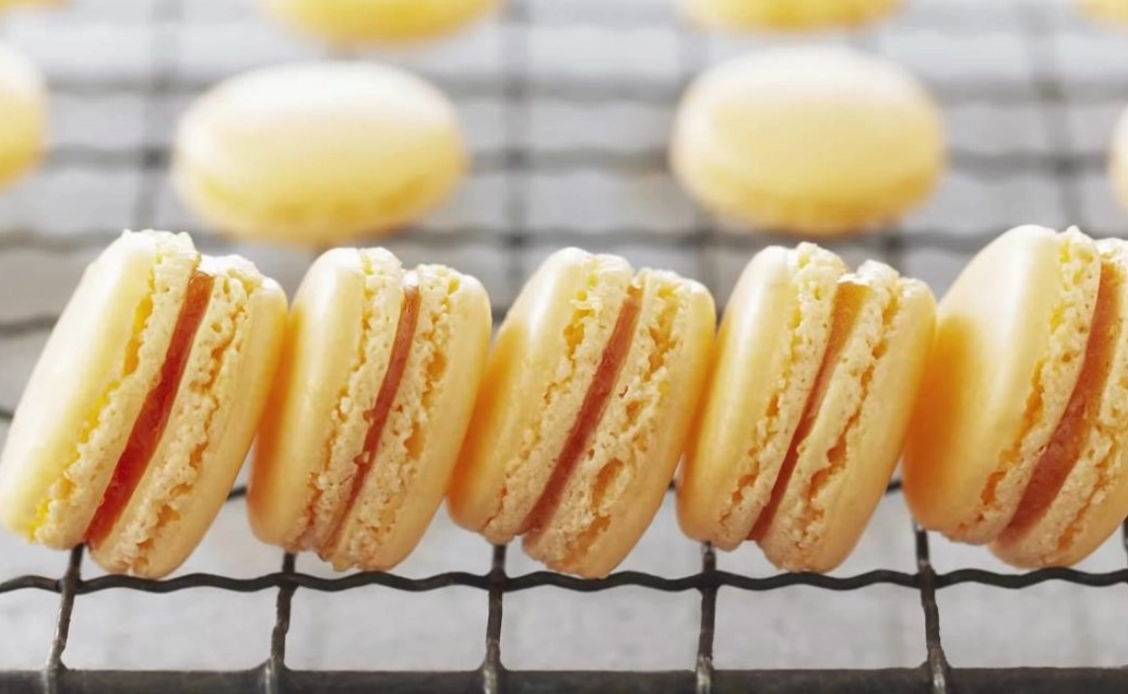 Professional Macaron Recipe: Expert Guide for Perfect Shells & Fillings