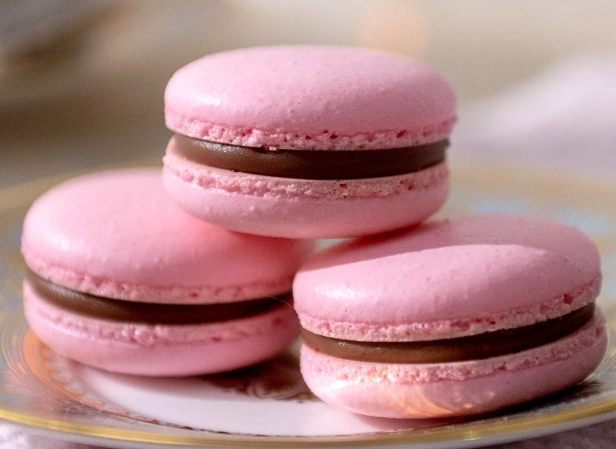 Macaron Ingredients: The Complete Guide to Almond Flour, Sugar & Egg Whites