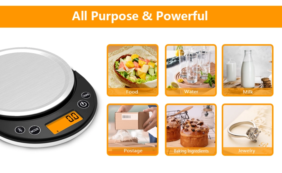 best food scale for weight loss